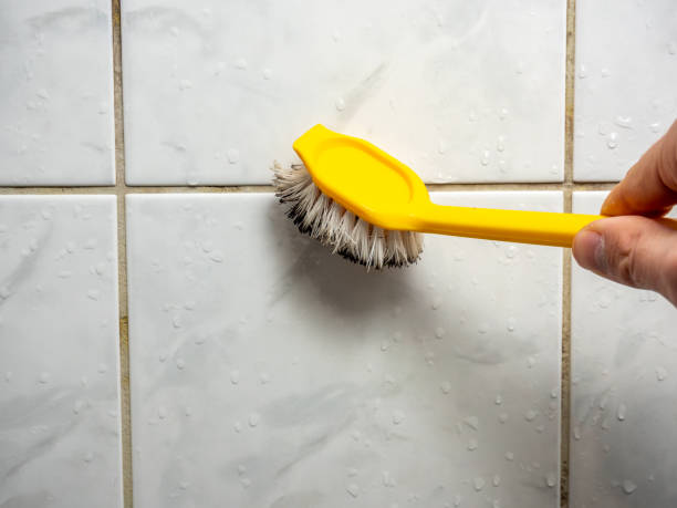 Best Same-Day Mold Removal  in Duryea, PA