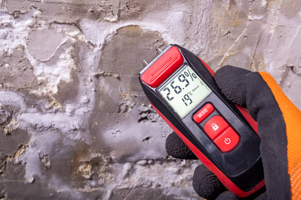 Best Mold Cleaning Services  in Duryea, PA